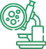 Logo oficial da categoria Biópsia e Punção da CRS